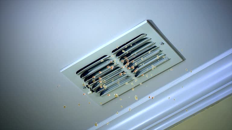Best Affordable Duct Cleaning Services  in North Terre Haute, IN
